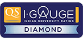 igauge-logo-original